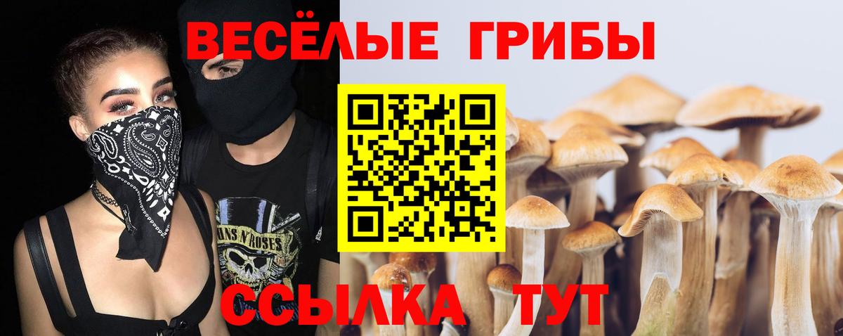 Галлюциногенные грибы мухоморы Кызыл