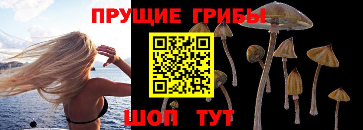 Кызыл  Псилоцибиновые грибы прущие грибы  Вход с VPN 